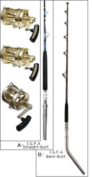 6'10 International V IGFA Conventional Rod, Medium Power