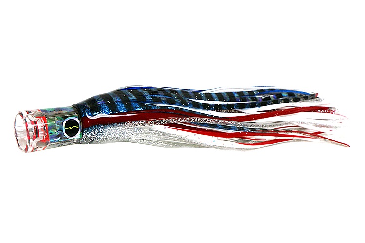 BLACK BART EL SQUID JR - BLUE AND WHITE