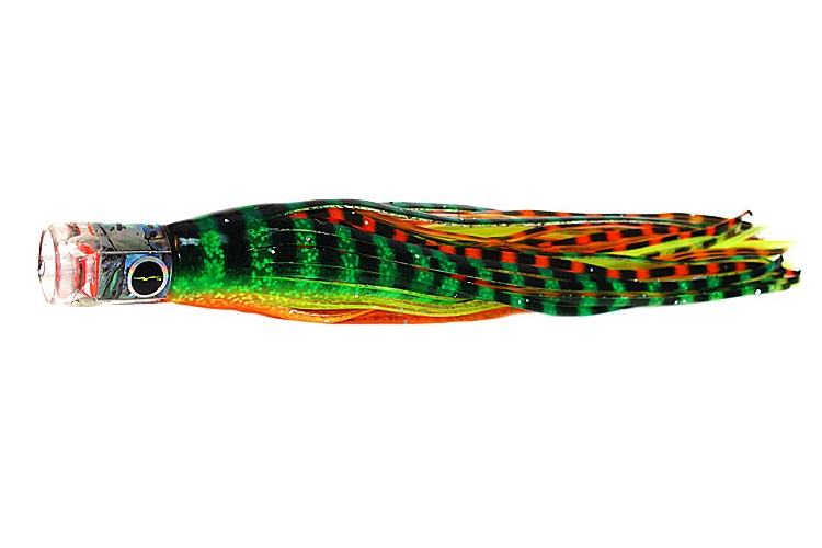 BLACK BART EL SQUID JR- GREEN ORANGE TIGER