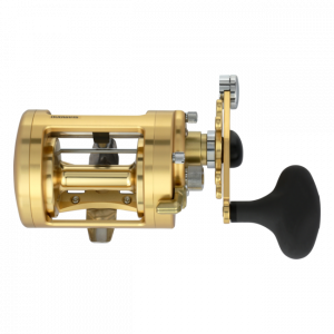 13+ Calcutta Fishing Reel