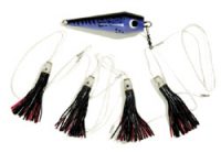 TORMENTER WARRIOR TEASER BLACK/PURPLE