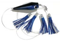 TORMENTER WARRIOR TEASER BLUE/WHITE