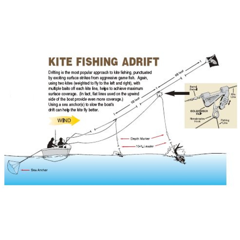 BOSTON BIG GAME FISHING KITE - Image 2
