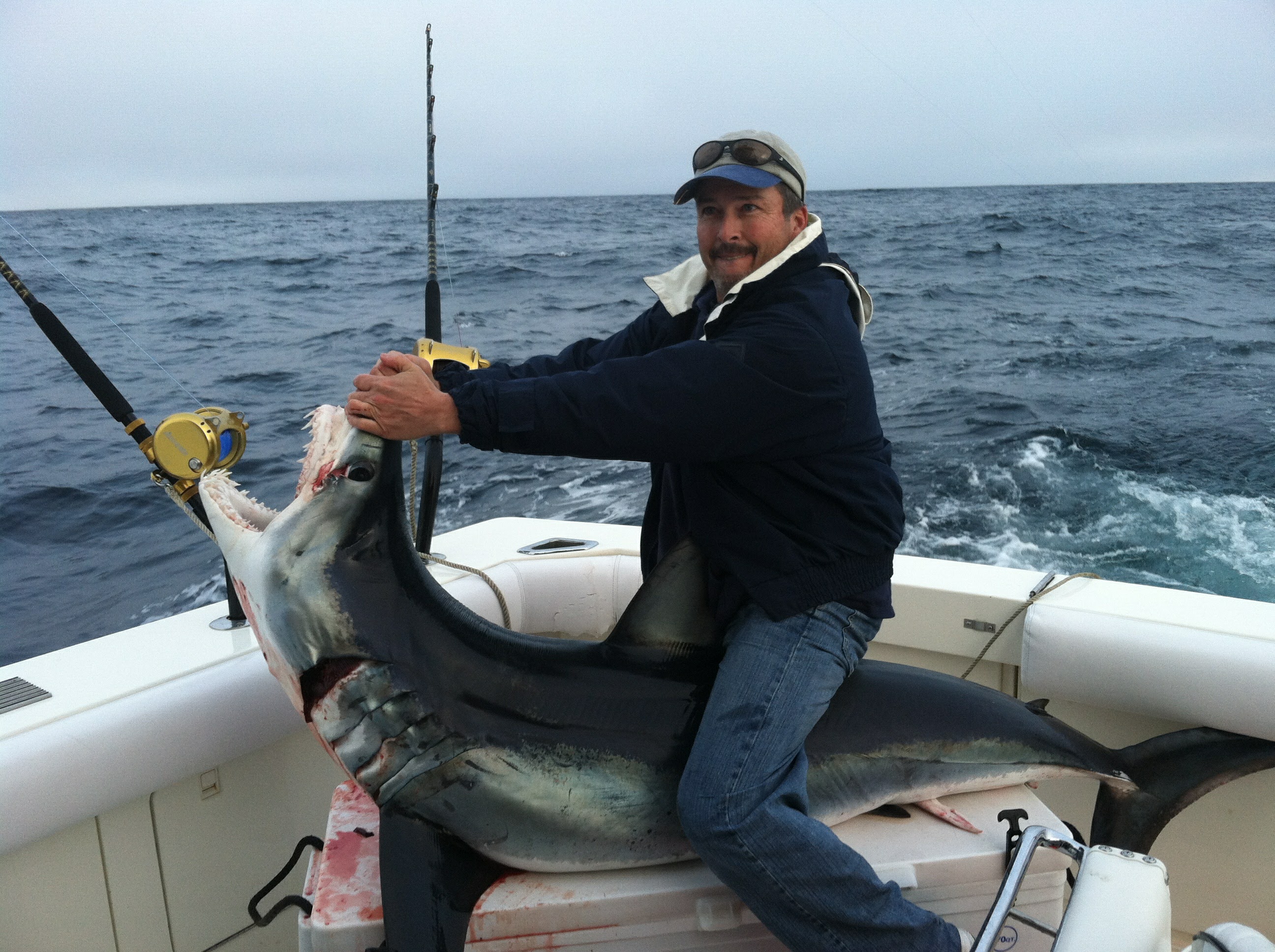 Tournament Shark Pro Gear Archives - Fisherman's Outfitter