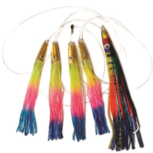 Rainbow Magic Daisy Chain
