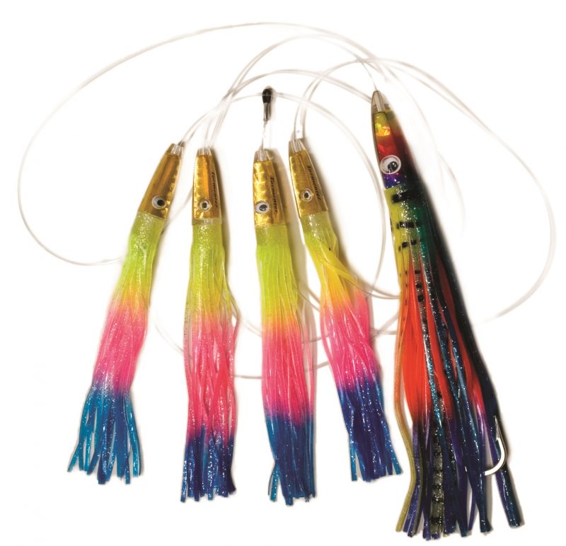 Rainbow Magic Daisy Chain