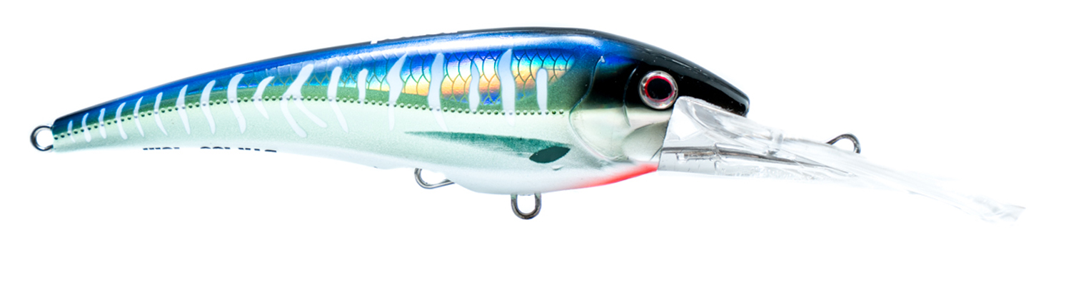 Nomad DTX Minnow 165mm 6.5 Trolling Lures – White Water Outfitters