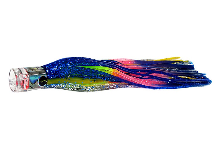 BLACK BART EL SQUID JR - BLUE YELLOW RAINBOW